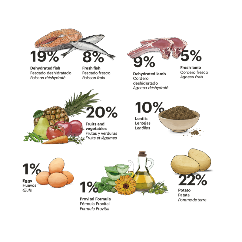 Exclusive Grain Free Dog Puppy Medium Fish with Lamb